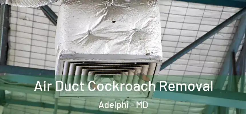 Air Duct Cockroach Removal Adelphi - MD