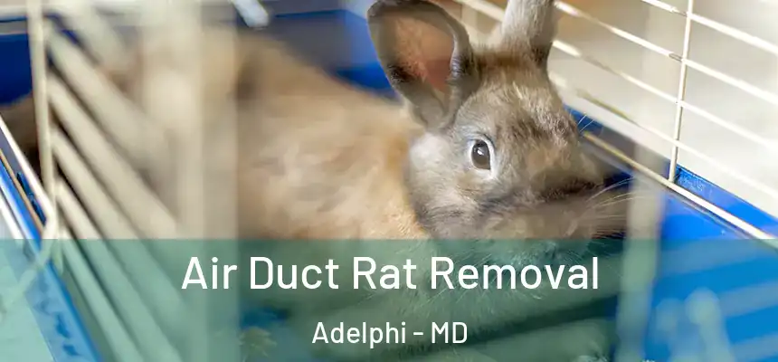 Air Duct Rat Removal Adelphi - MD