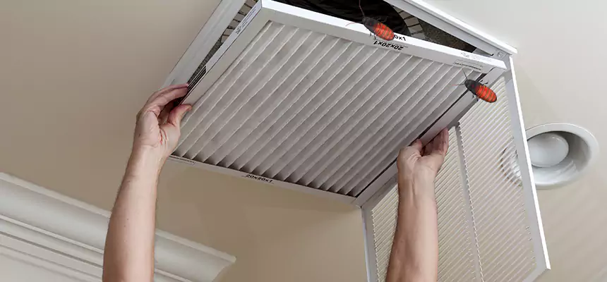 Preventive Cockroach-Proofing for Ducts in Adelphi