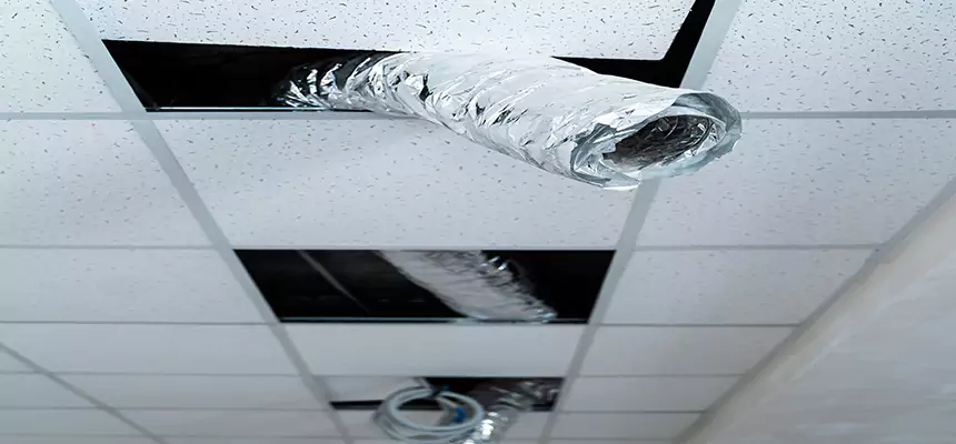 Affordable HVAC Sanitizing After Pest Removal in Adelphi