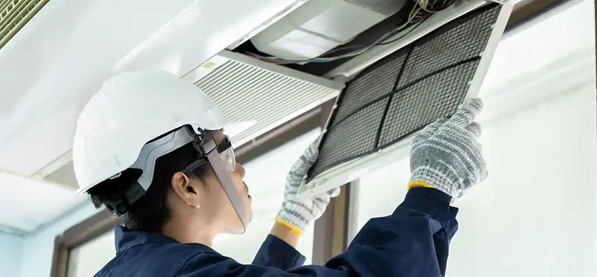 Our Lint Trap Cleaning Service Services in Adelphi, MD