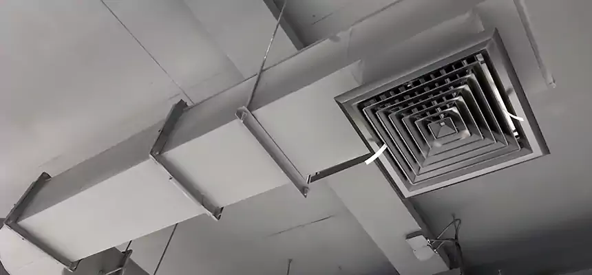 Our Pest Removal From Ducts Services in Adelphi, MD