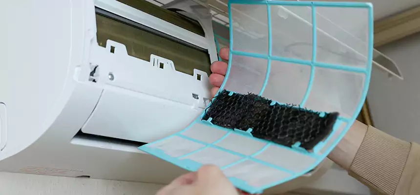 Gentle Ductwork Odor-Control Pet Dander Duct Cleaning in Adelphi, MD