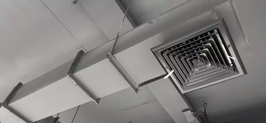 Our Rodent Droppings In Vents Services in Adelphi, MD