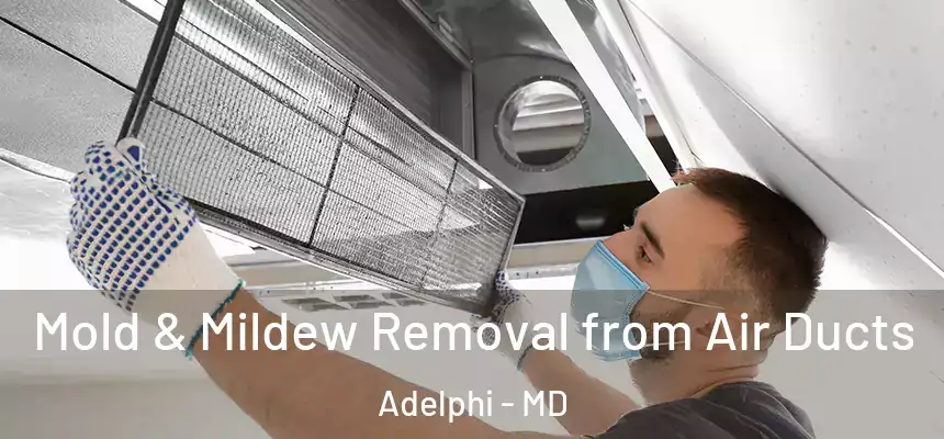 Mold & Mildew Removal from Air Ducts Adelphi - MD