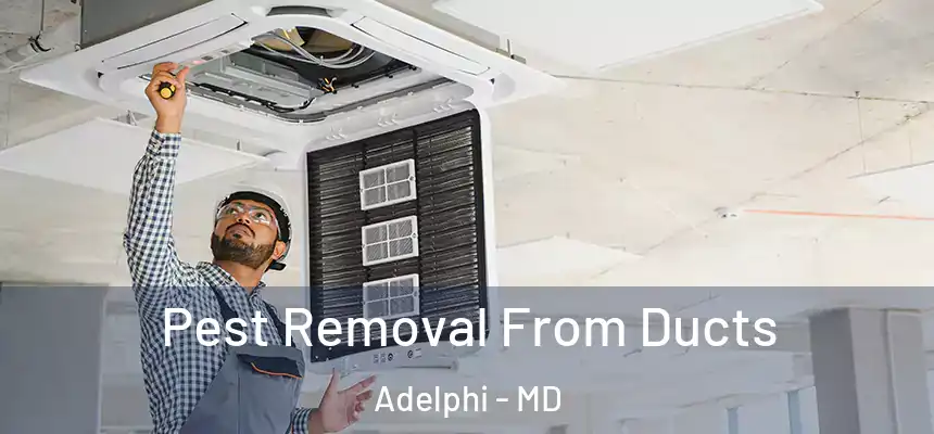  Pest Removal From Ducts Adelphi - MD