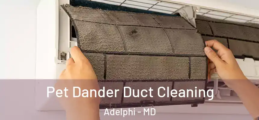 Pet Dander Duct Cleaning Adelphi - MD