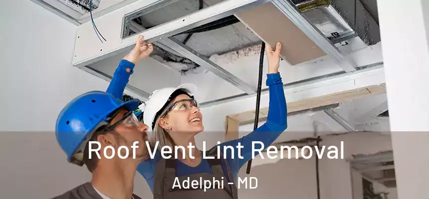 Roof Vent Lint Removal Adelphi - MD