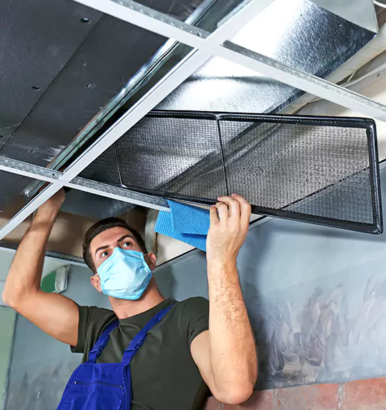 About Air Duct Bacteria Removal in Adelphi