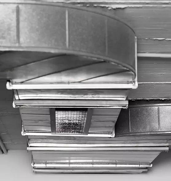 Professional Air Duct Pet Hair Removal in Adelphi, MD