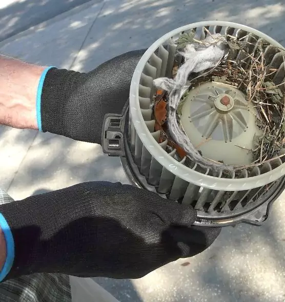 About Air Duct Rat Removal in Adelphi, MD