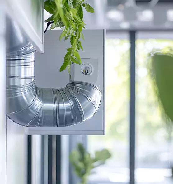 Professional Eco-Safe Dryer Vent Cleaning in Adelphi, MD