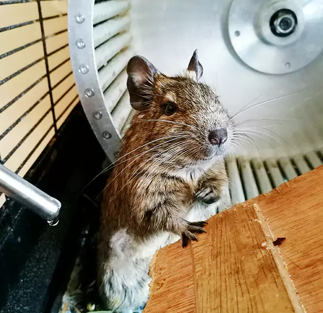 Why Homeowners & Businesses Trust Us Adelphi, MD?