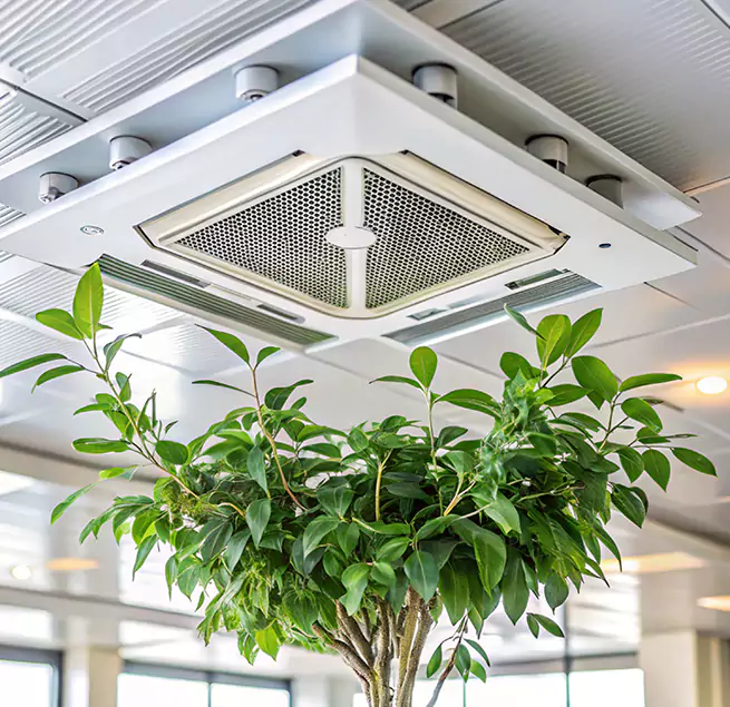 Why Homeowners & Businesses Trust Us in Adelphi, MD