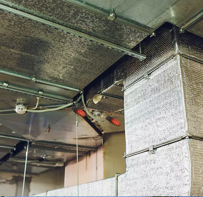 Why Homeowners & Businesses Trust Us Adelphi, MD?