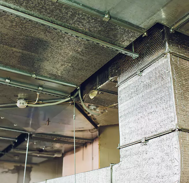 Why Homeowners & Businesses Trust Us in Adelphi, MD?